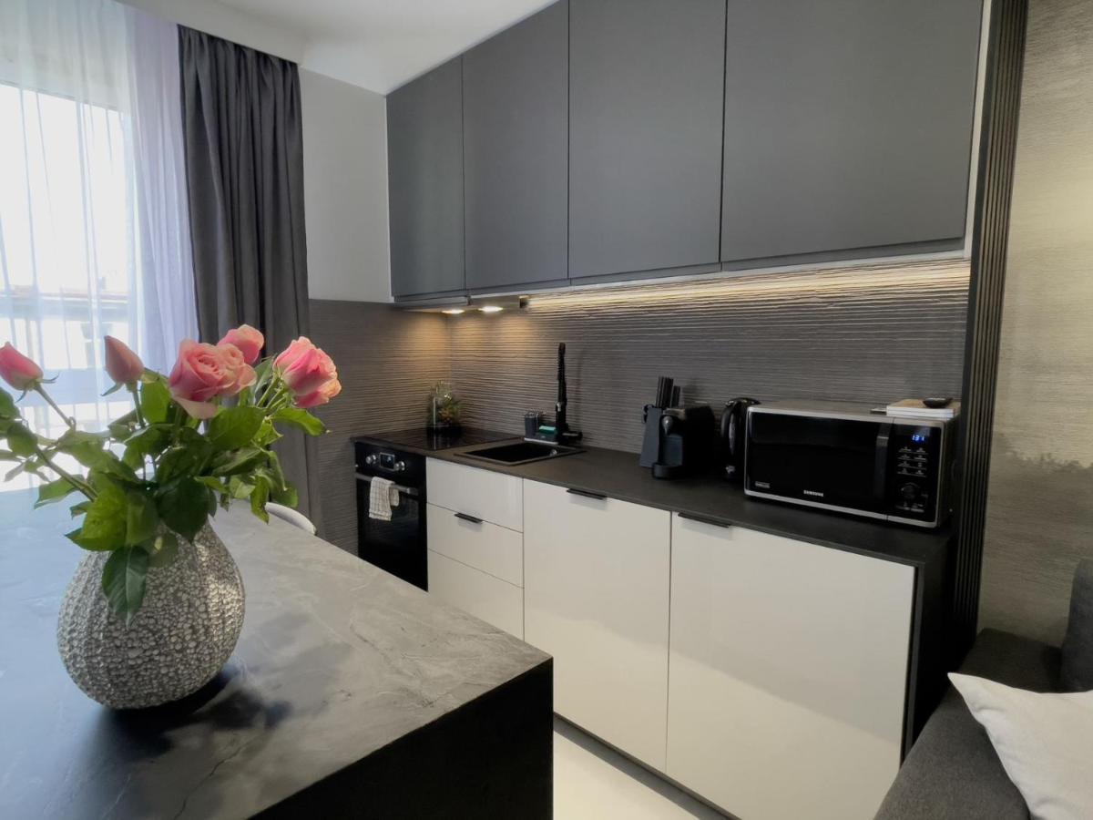 Urban Apartments Premium, Opolska 10 No 89, Free Garage, Self Check-In Katowice Esterno foto