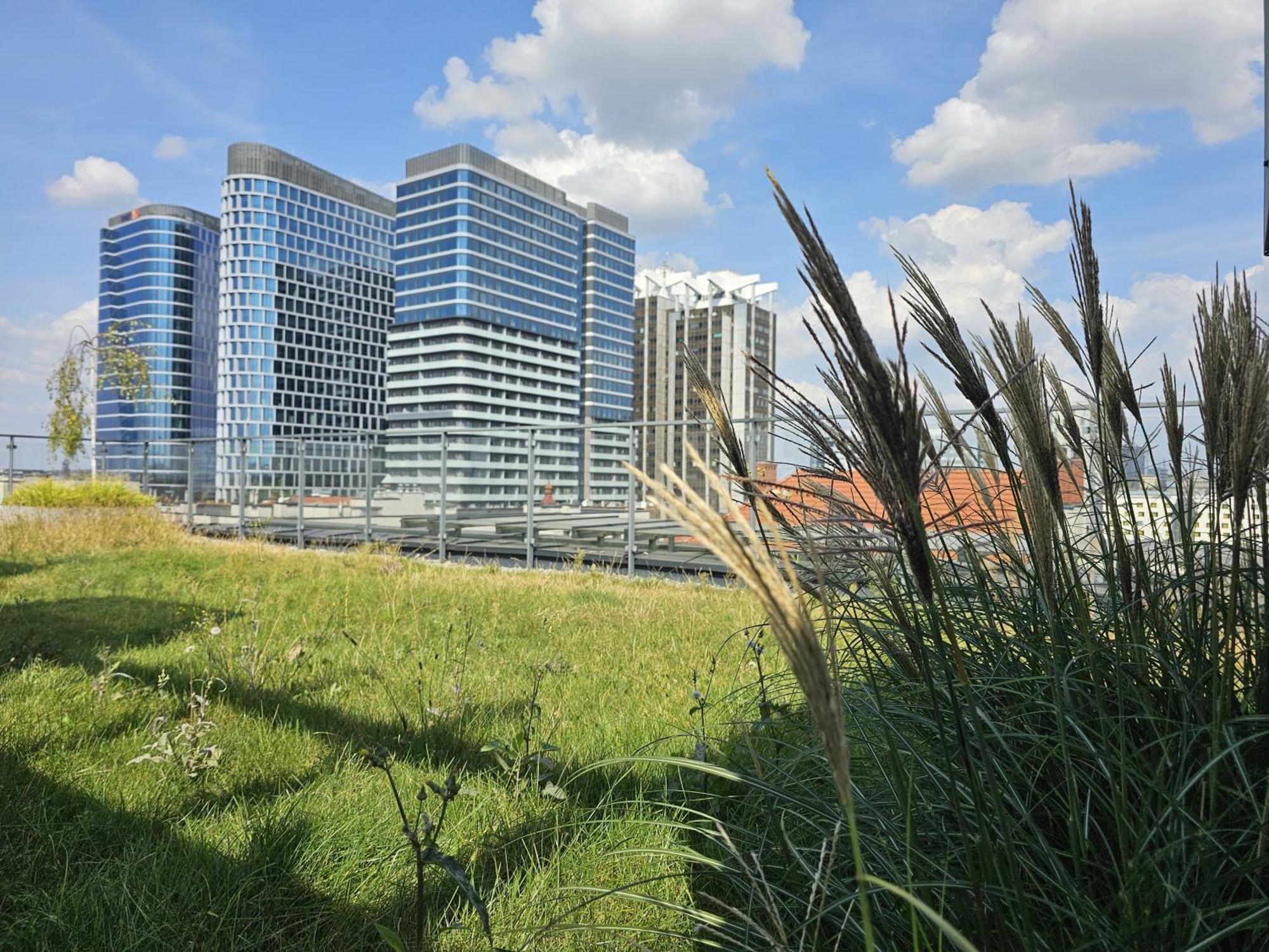 Urban Apartments Premium, Opolska 10 No 89, Free Garage, Self Check-In Katowice Esterno foto